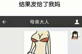 嘉陵商务调查